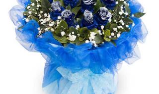 蓝色妖姬加满天星的花语是什么 满天星蓝色花语